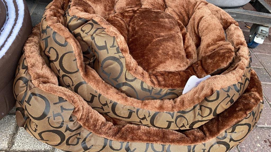 זברה הכל לחיות הבית זברה הכל לחיות הבית