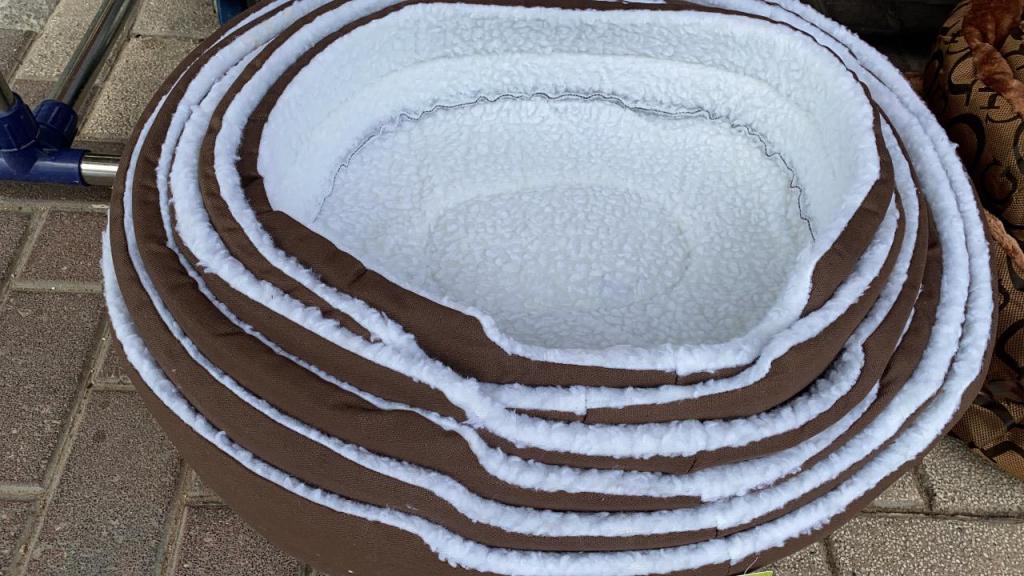 זברה הכל לחיות הבית זברה הכל לחיות הבית