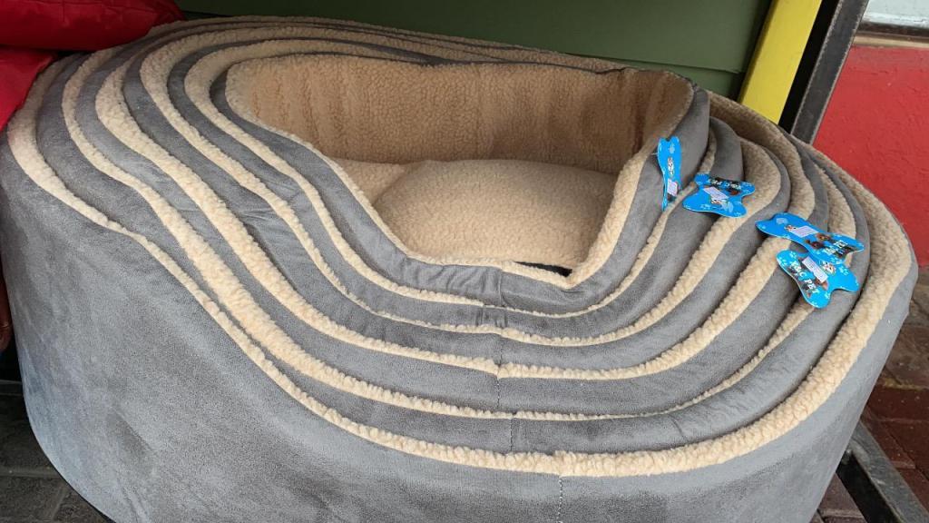 זברה הכל לחיות הבית זברה הכל לחיות הבית