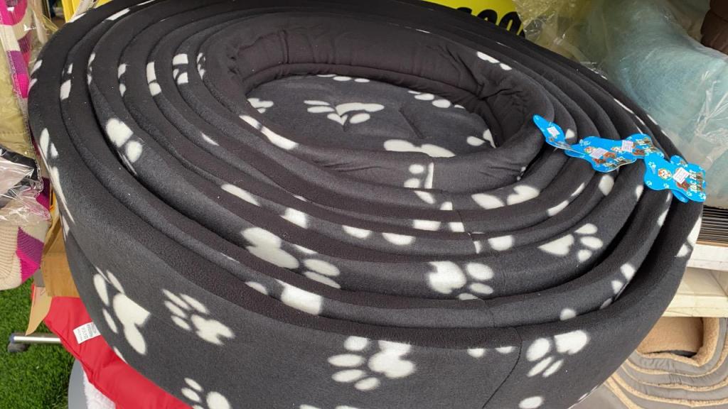 זברה הכל לחיות הבית זברה הכל לחיות הבית