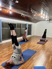 Monkey pilates