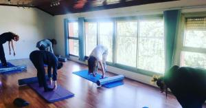 Monkey pilates