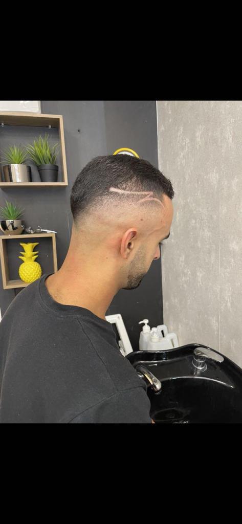 מאור הספר מאור הספר