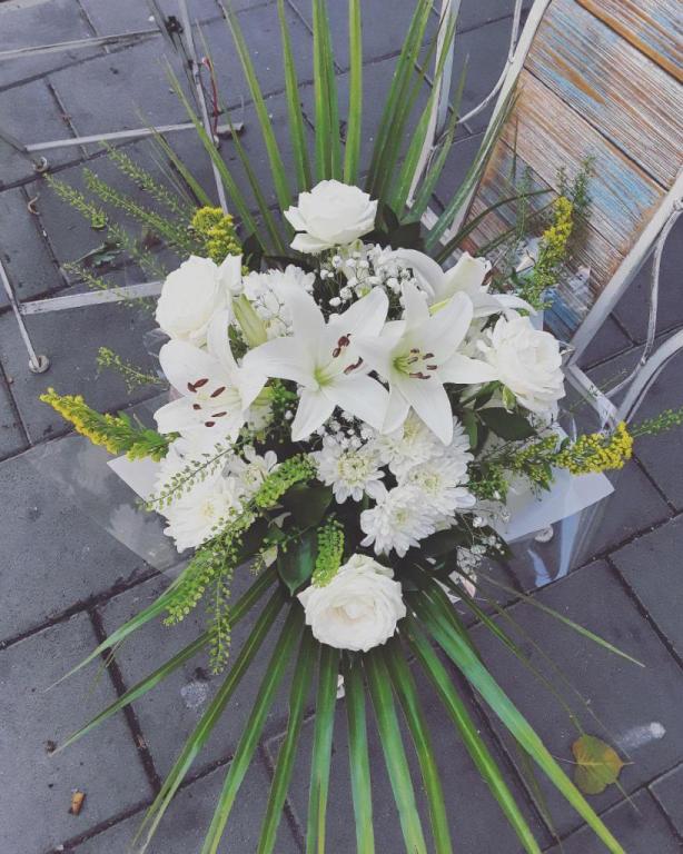 פרחים קסומים Magical Flowers פרחים קסומים Magical Flowers