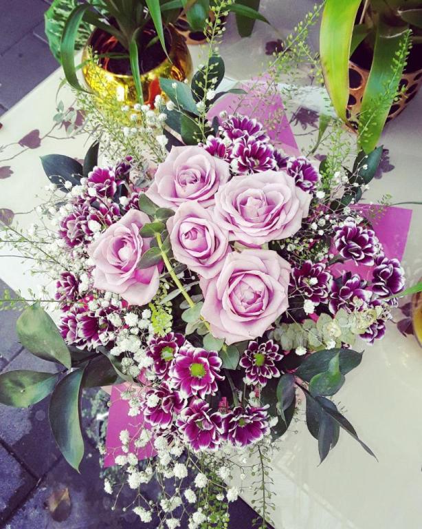 פרחים קסומים Magical Flowers פרחים קסומים Magical Flowers