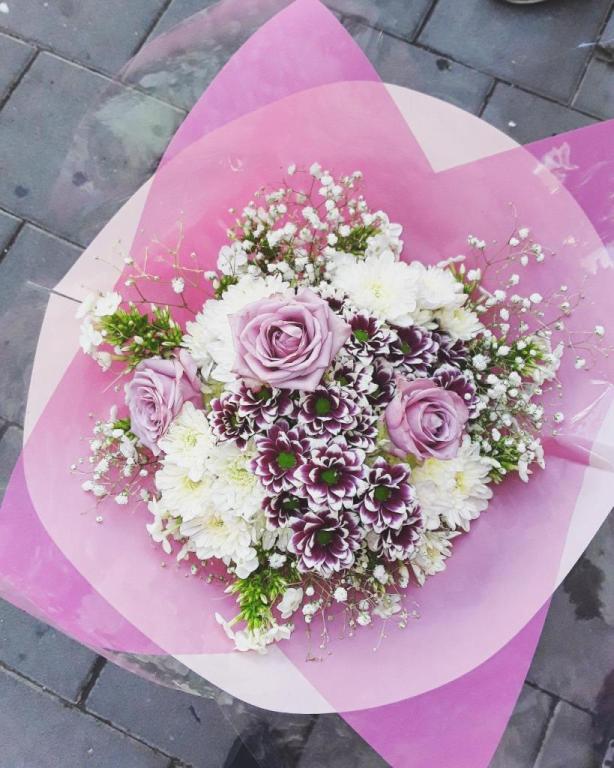 פרחים קסומים Magical Flowers פרחים קסומים Magical Flowers