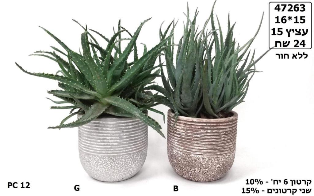 משתלת גני טל מושב זכריה משתלת גני טל מושב זכריה