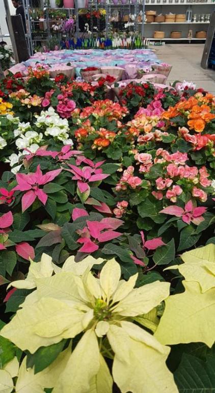 משתלת גני טל מושב זכריה משתלת גני טל מושב זכריה