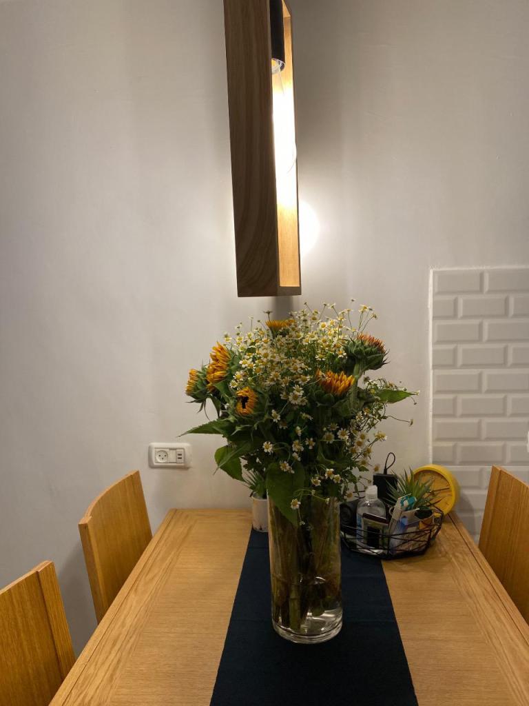 פרחי אביב פרחי אביב