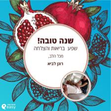 רונן לביא