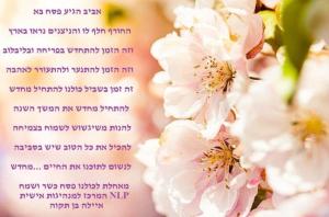 נלפ המרכז למנהיגות אישית