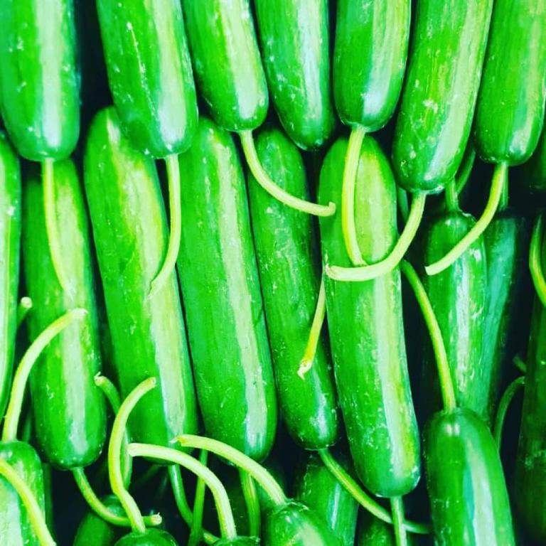 בוטיק הפרי והירק בוטיק הפרי והירק