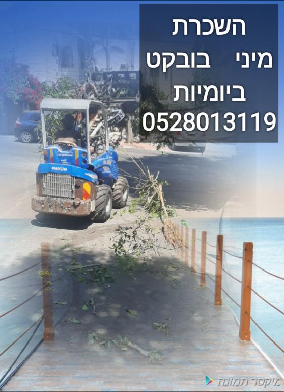 א.א גיזום עצים וגינון א.א גיזום עצים וגינון