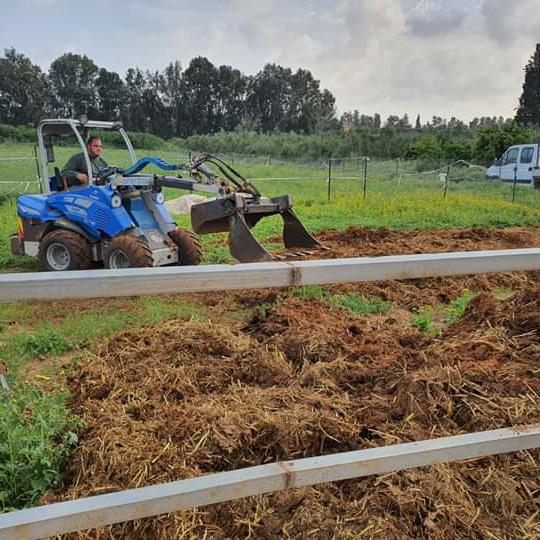 א.א גיזום עצים וגינון א.א גיזום עצים וגינון