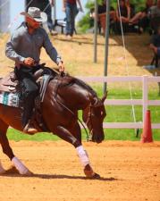 All4horses הכשרת מדריכי רכיבה