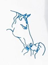 All4horses הכשרת מדריכי רכיבה