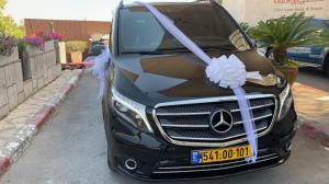 ארז הסעות vip