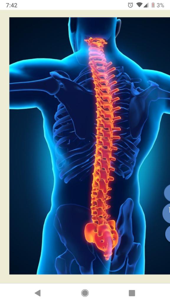 כירופרקטיקה מונעת ד"ר אליוט כירופרקטיקה מונעת ד"ר אליוט