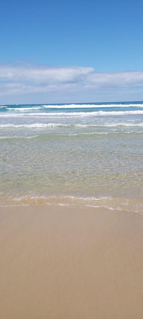 קננה חיבוק מהסוואנה קננה חיבוק מהסוואנה