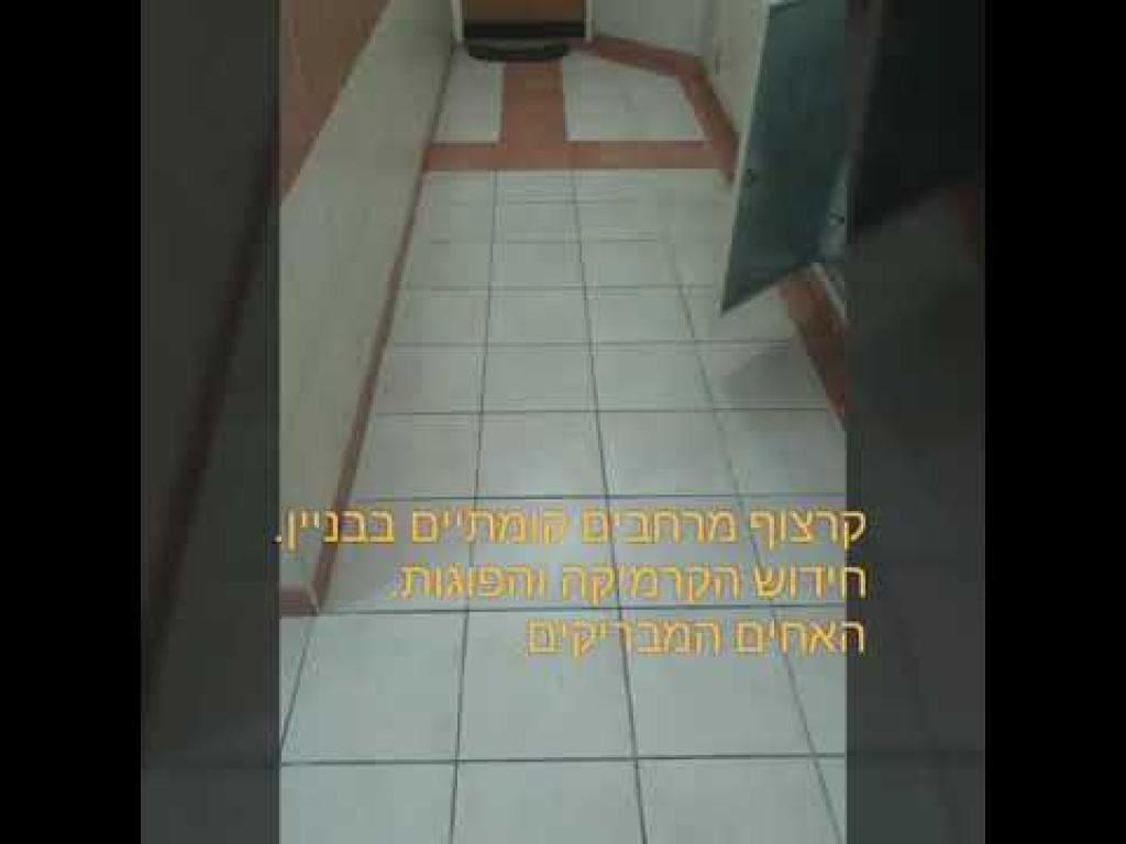 האחים המבריקים האחים המבריקים