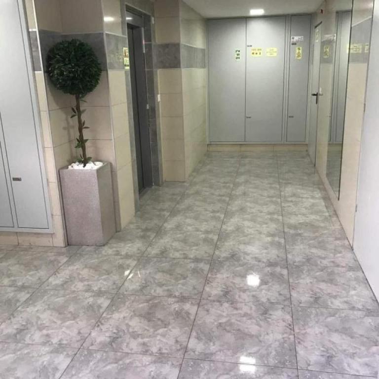 האחים המבריקים האחים המבריקים