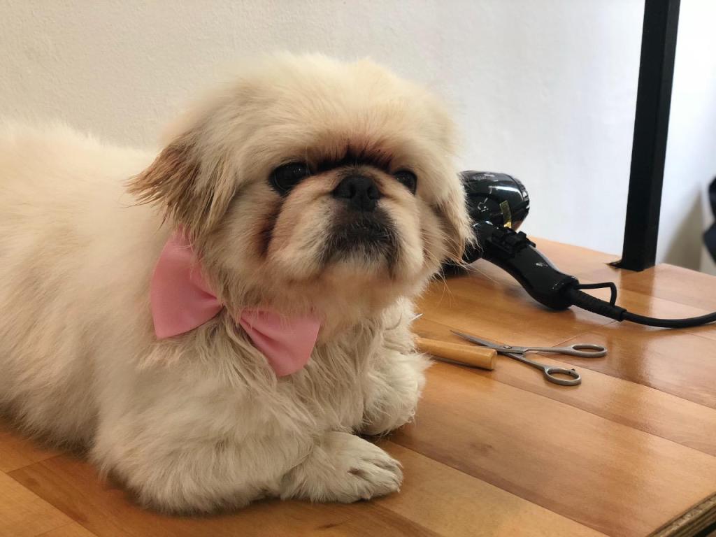 אצל סיון בחצר אצל סיון בחצר