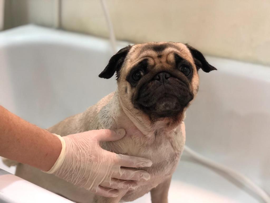 אצל סיון בחצר אצל סיון בחצר