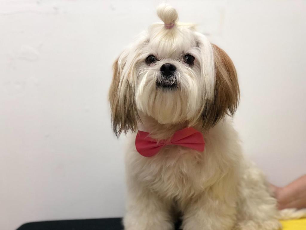 אצל סיון בחצר אצל סיון בחצר