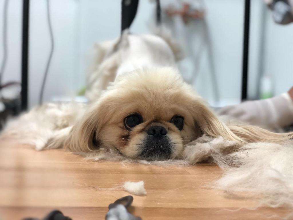 אצל סיון בחצר אצל סיון בחצר