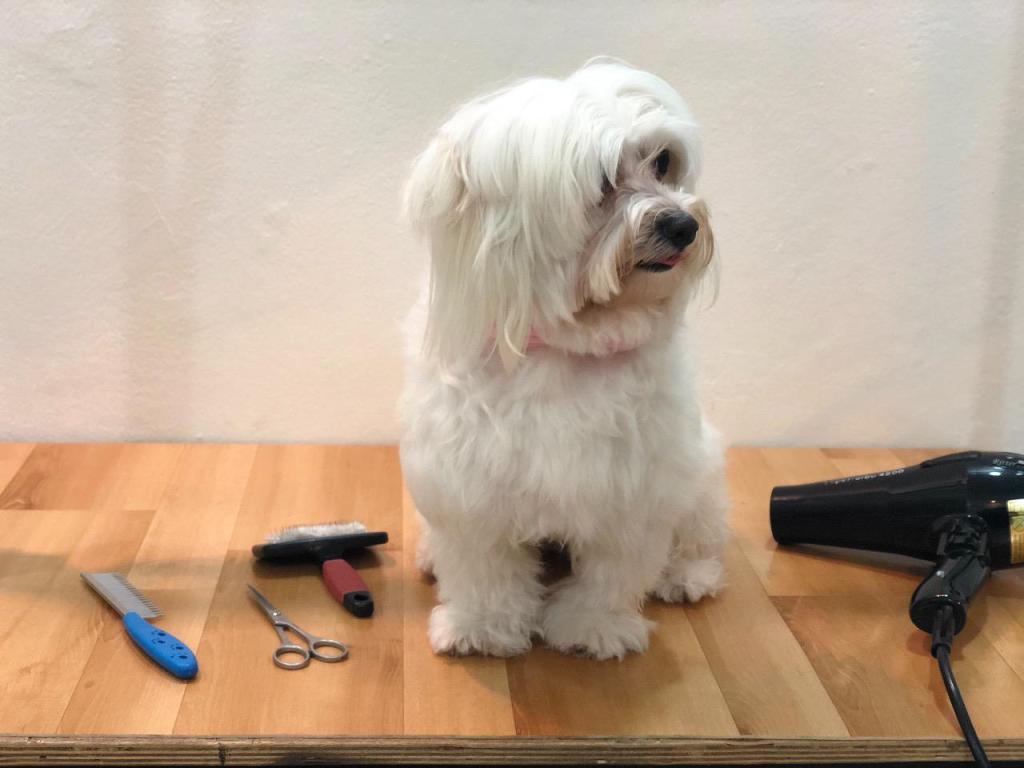 אצל סיון בחצר אצל סיון בחצר