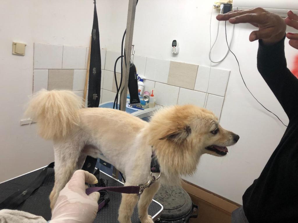 אצל אורנה בחצר אצל אורנה בחצר