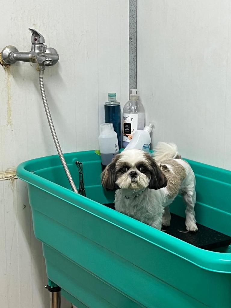 אצל אורנה בחצר אצל אורנה בחצר