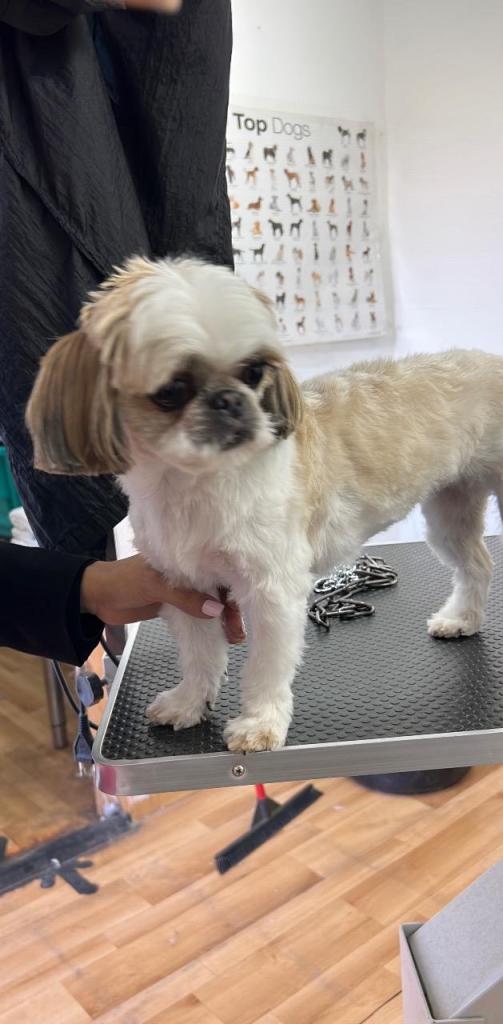 אצל אורנה בחצר אצל אורנה בחצר