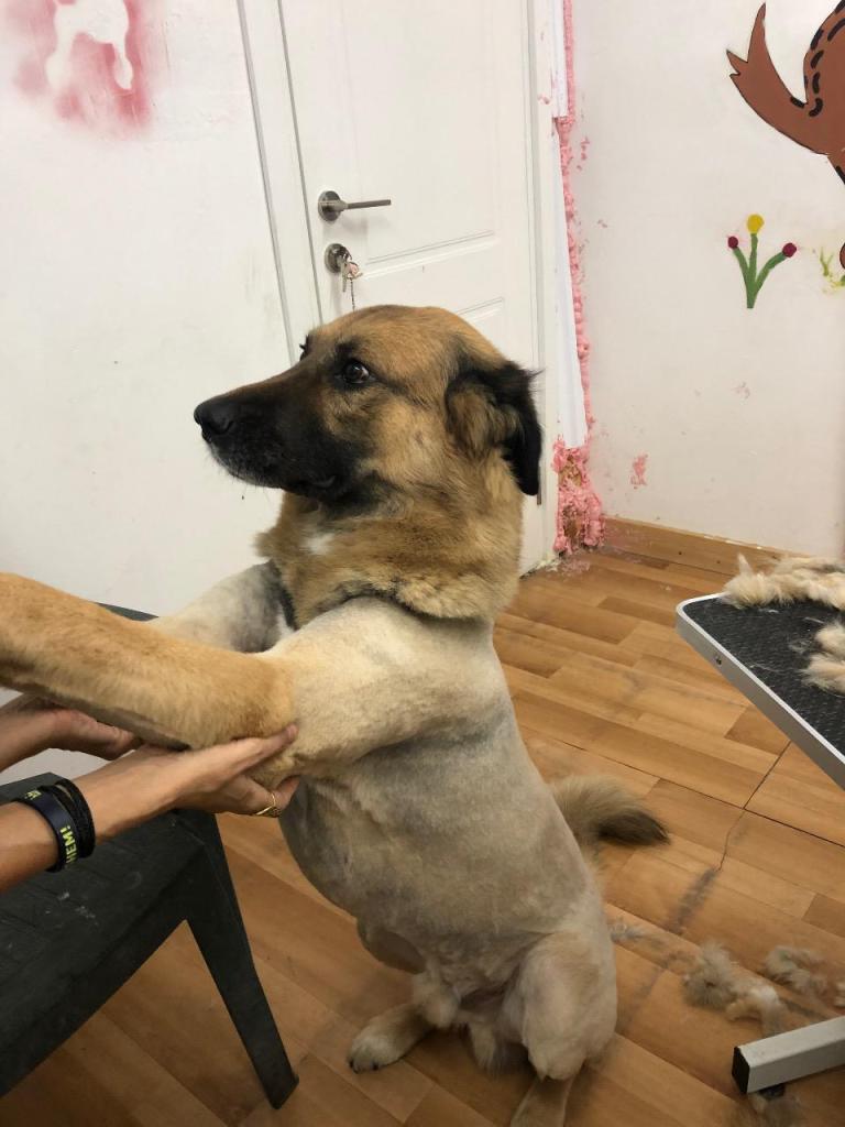 אצל אורנה בחצר אצל אורנה בחצר