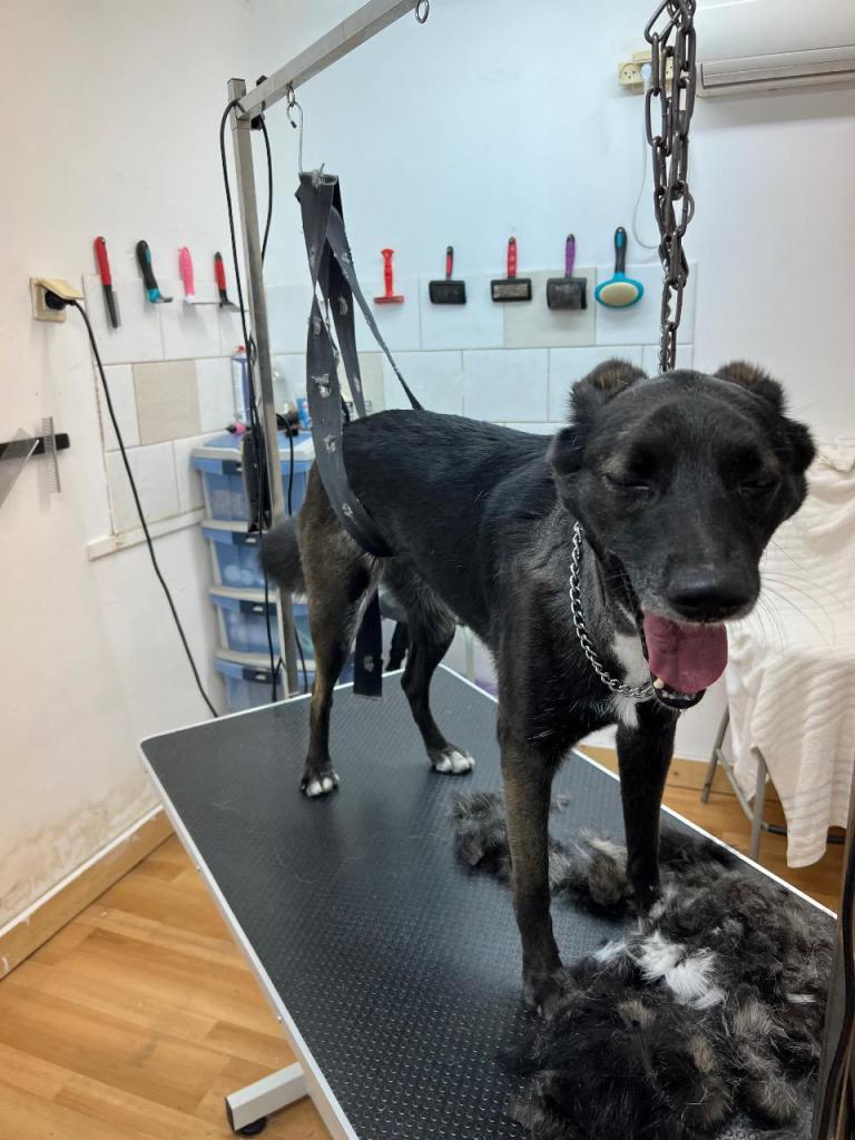 אצל אורנה בחצר אצל אורנה בחצר