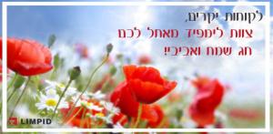 לימפיד שירותי תרגום סינית