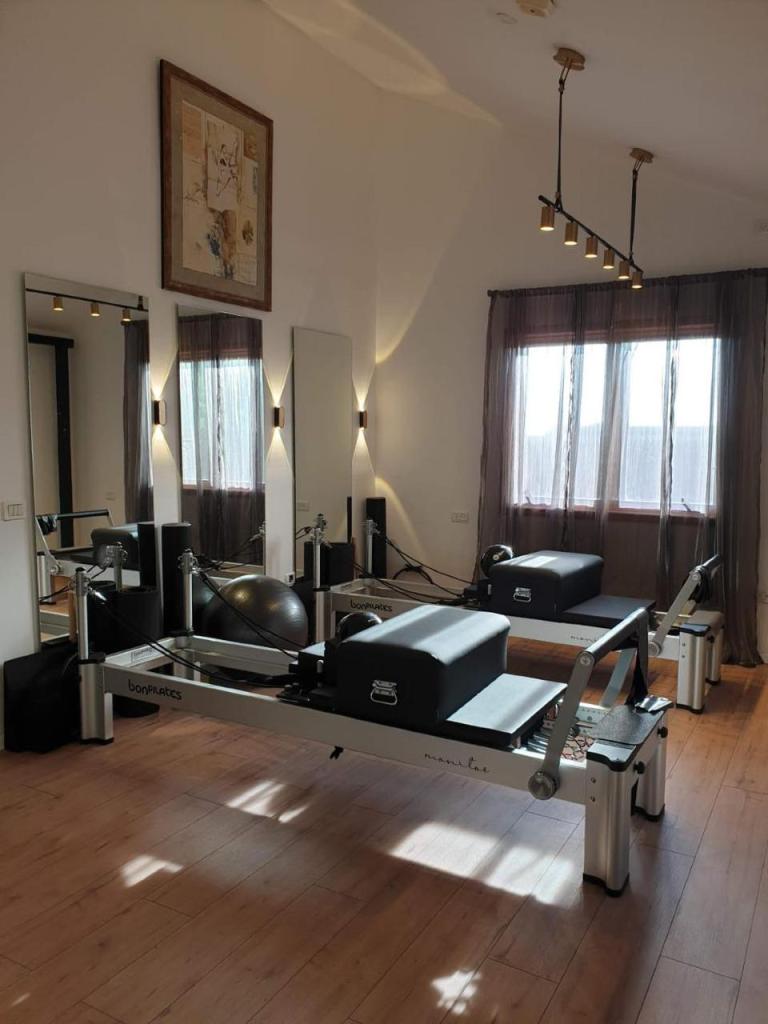 תומר צרפתי תומר צרפתי