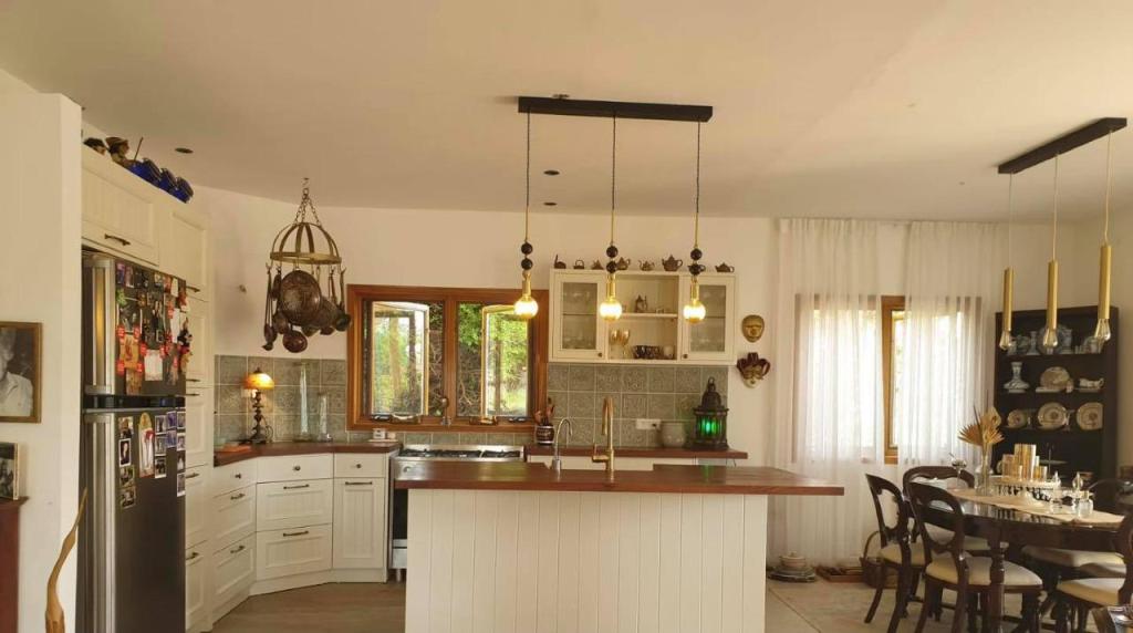 תומר צרפתי תומר צרפתי