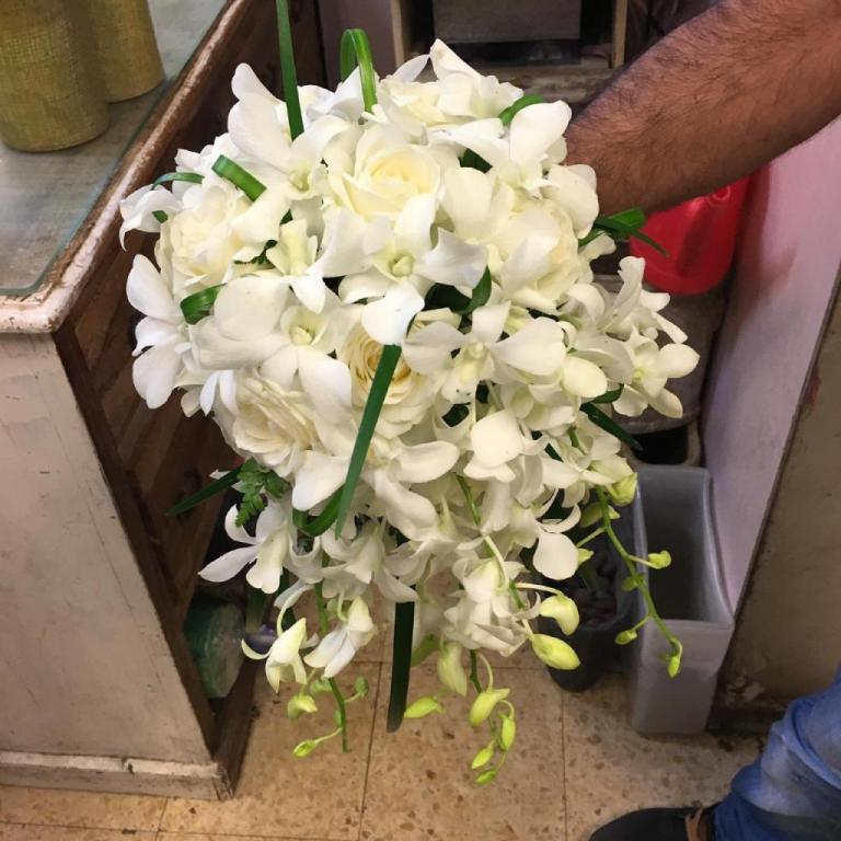 ירוק אצל מישאל ירוק אצל מישאל