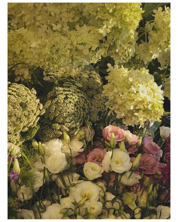 ירוק אצל מישאל ירוק אצל מישאל