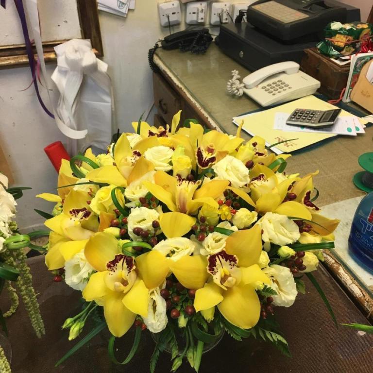 ירוק אצל מישאל ירוק אצל מישאל