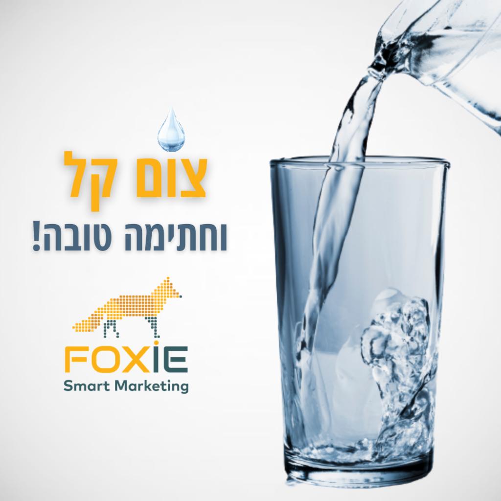 בנייה וקידום אתרים FOXIE בנייה וקידום אתרים FOXIE