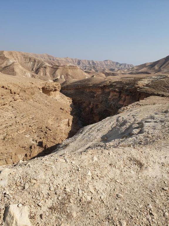 רייזר הצפון רייזר הצפון