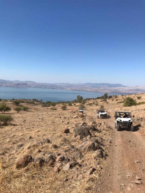 רייזר הצפון רייזר הצפון