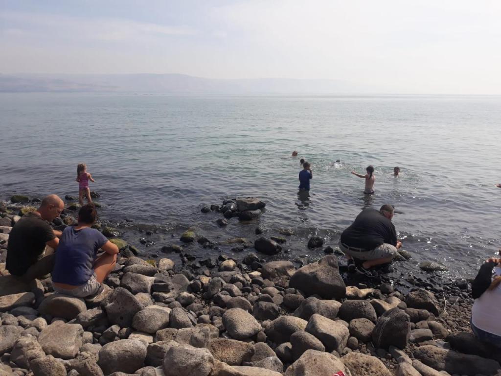 רייזר הצפון רייזר הצפון