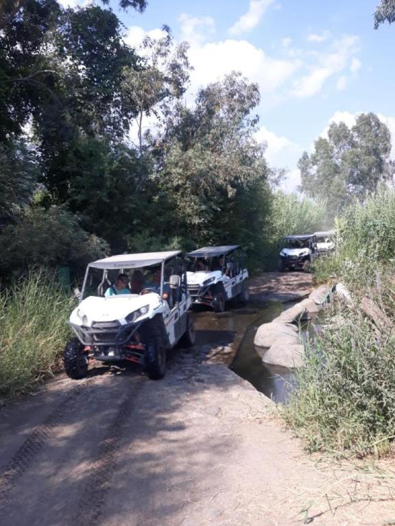 רייזר הצפון רייזר הצפון