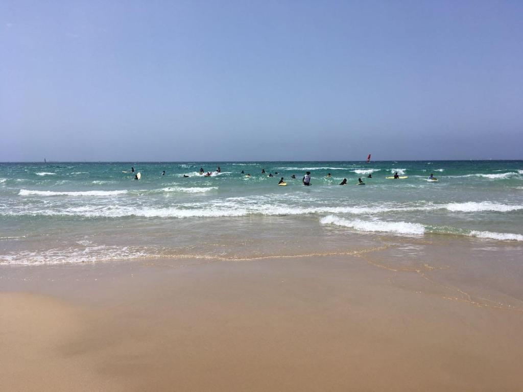 מועדון גלישה דאדיז מועדון גלישה דאדיז