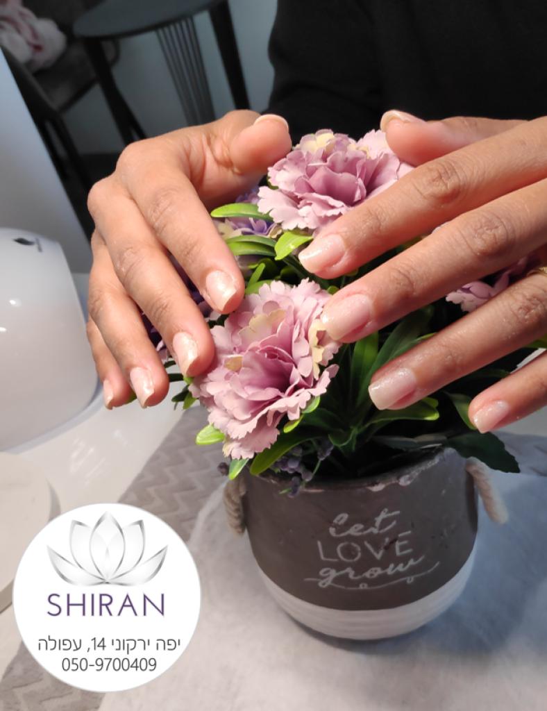 שירן נייל ארט שירן נייל ארט