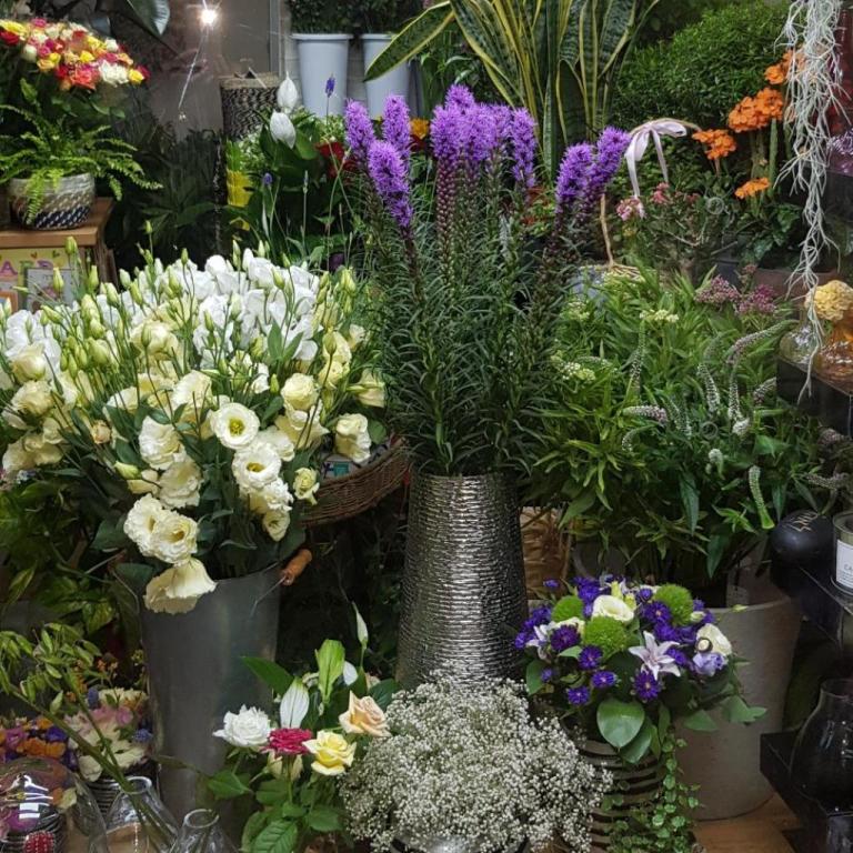 דיזנגוף 40 פרחים דיזנגוף 40 פרחים