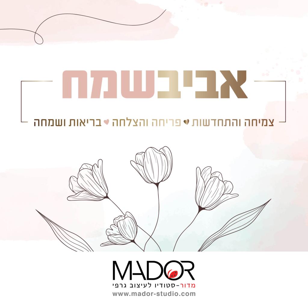 מדור סטודיו לעיצוב מדור סטודיו לעיצוב